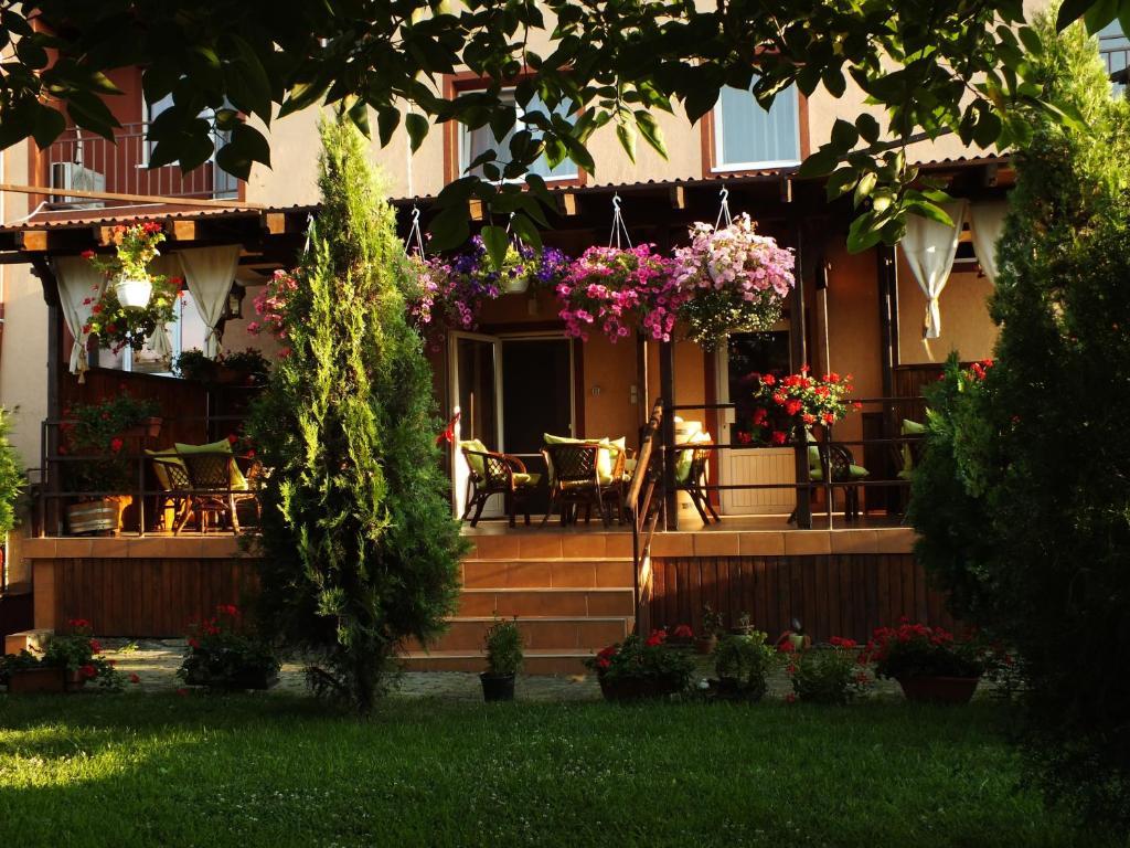 Pension Larisa Arad Exteriör bild